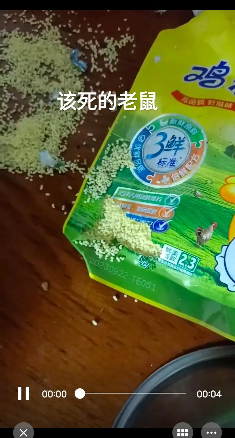 做夢被老鼠咬了