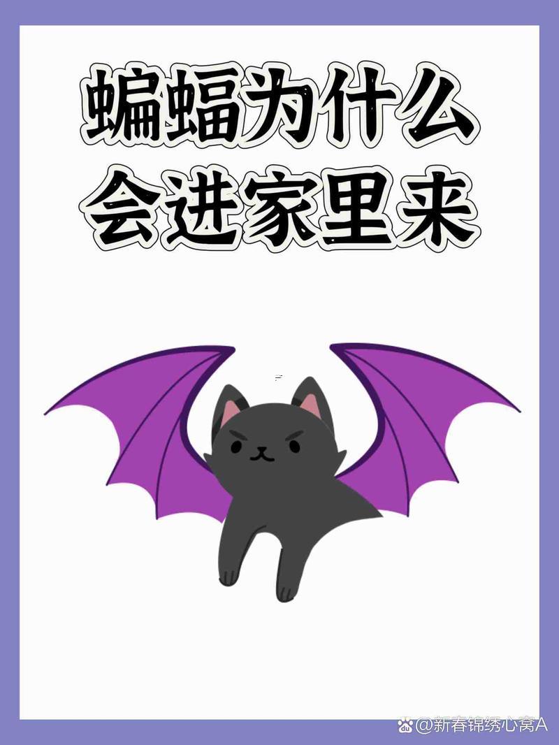 家里進(jìn)蝙蝠