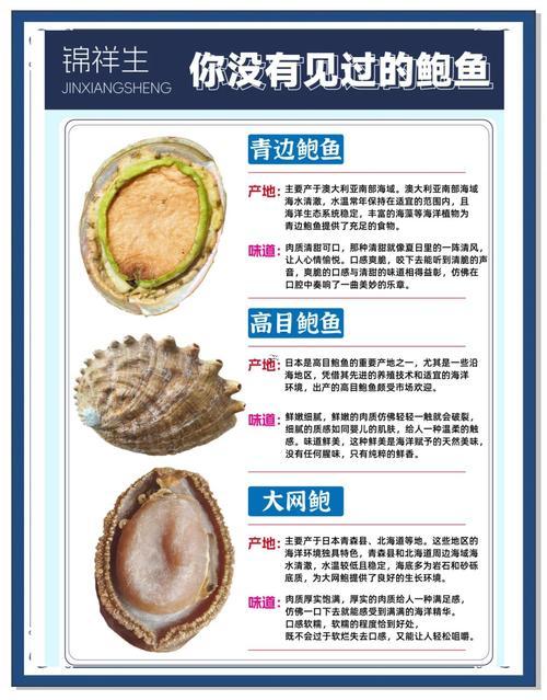 鮑魚什么意思