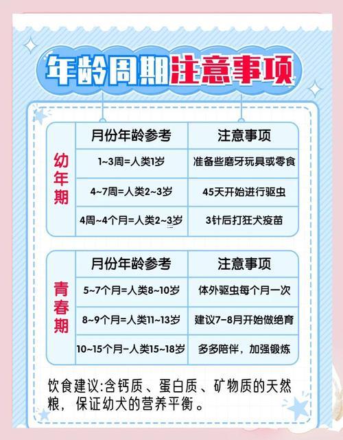 哪年是狗年