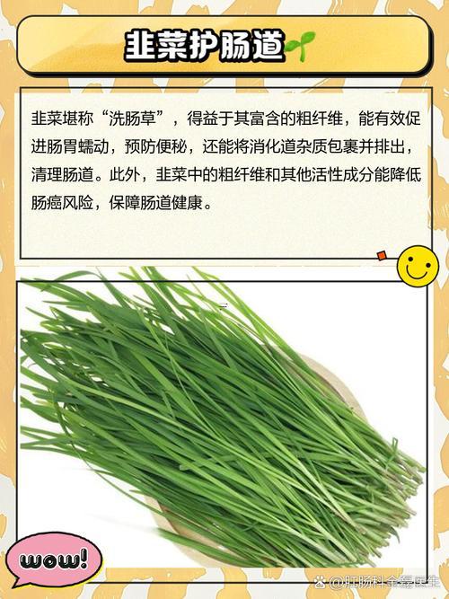 夢見韭菜好不好