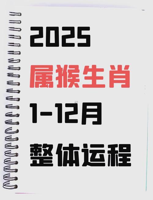 屬猴是那一年的
