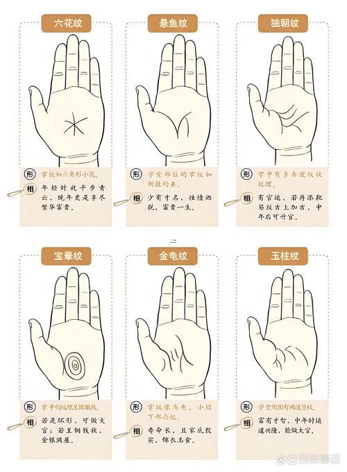 免費(fèi)測(cè)手相