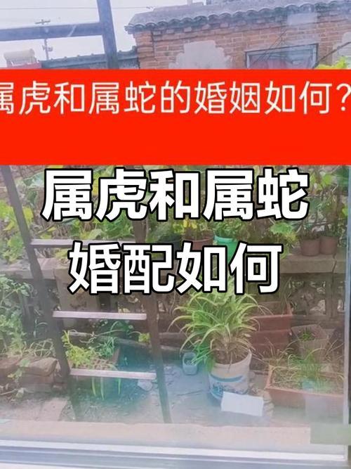 虎與虎相配婚姻怎樣