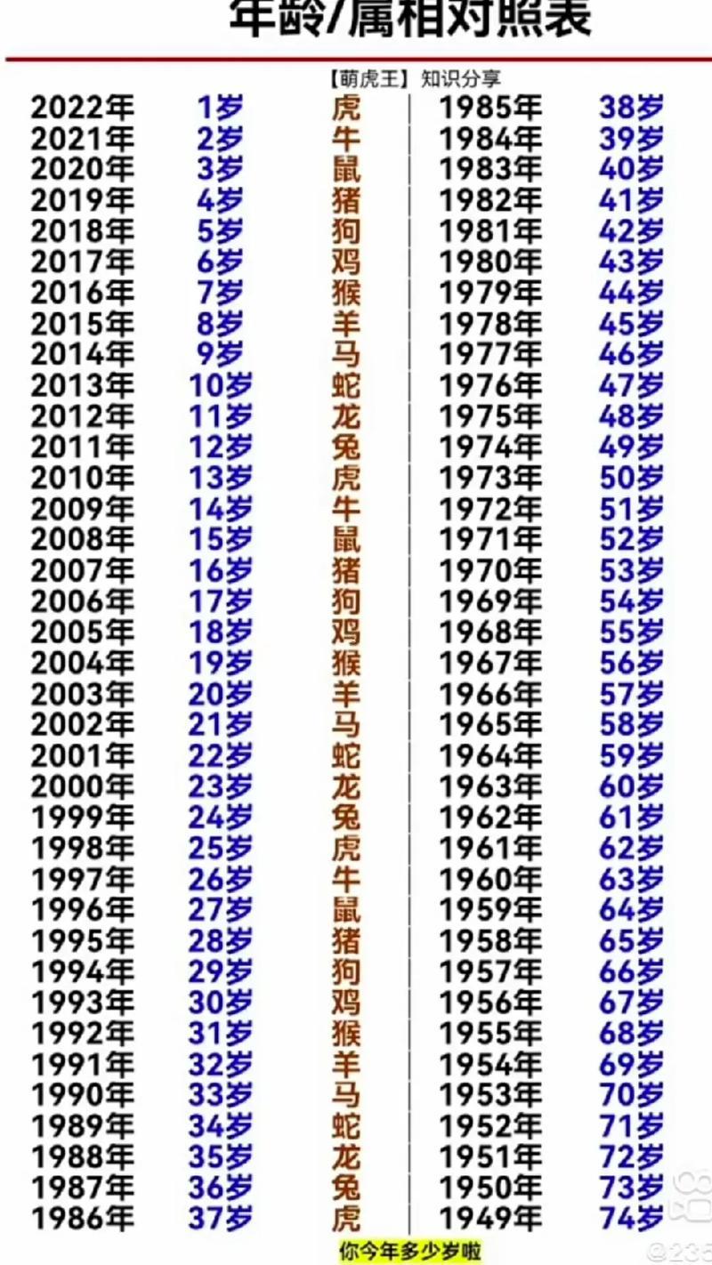 2022年屬啥東西