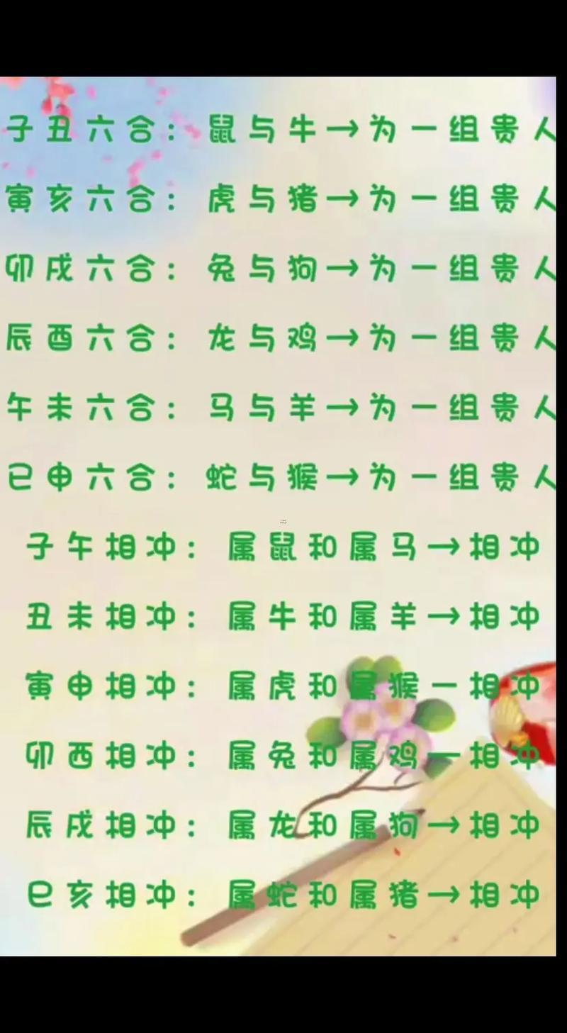 羊跟兔合不合