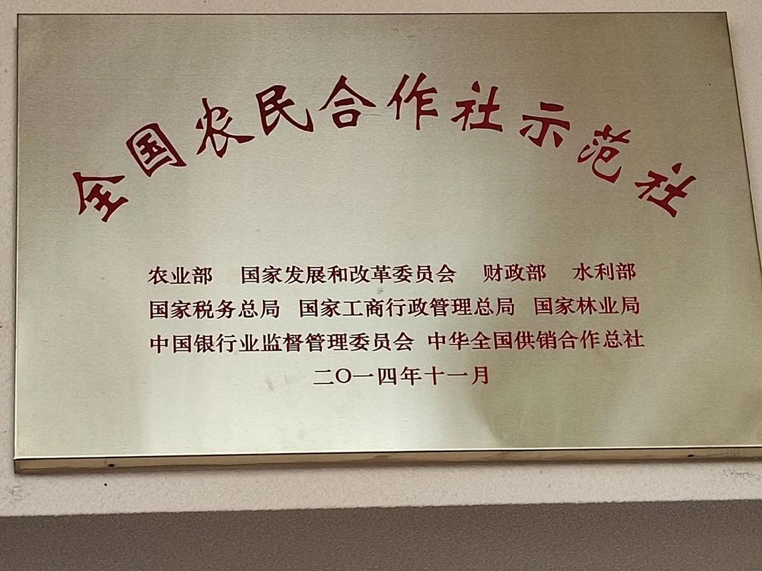 合作社取名字大全