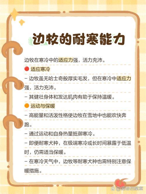 最不怕冷得動(dòng)物