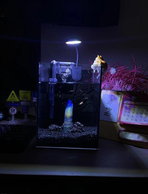 魚缸位置