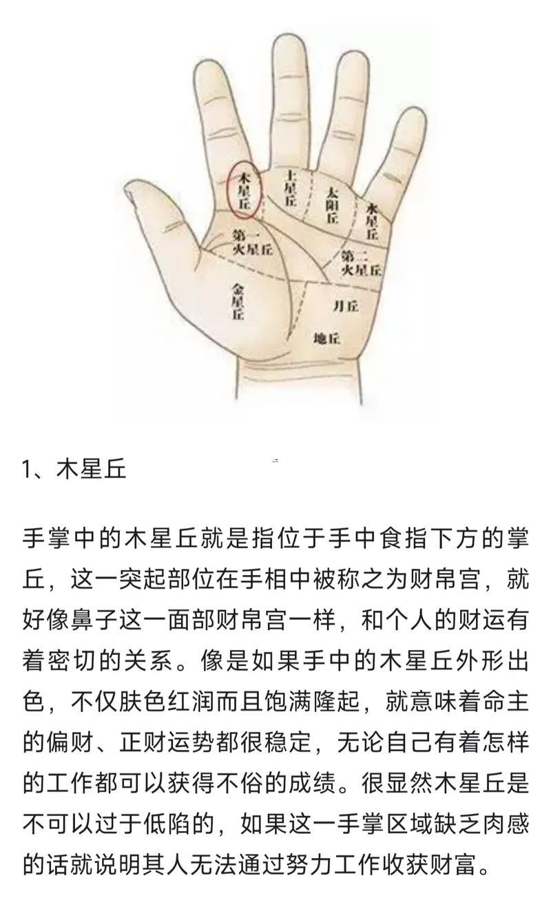 手相圖解大全