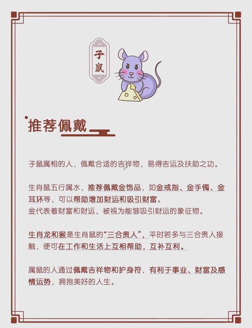 屬鼠是什么東西命