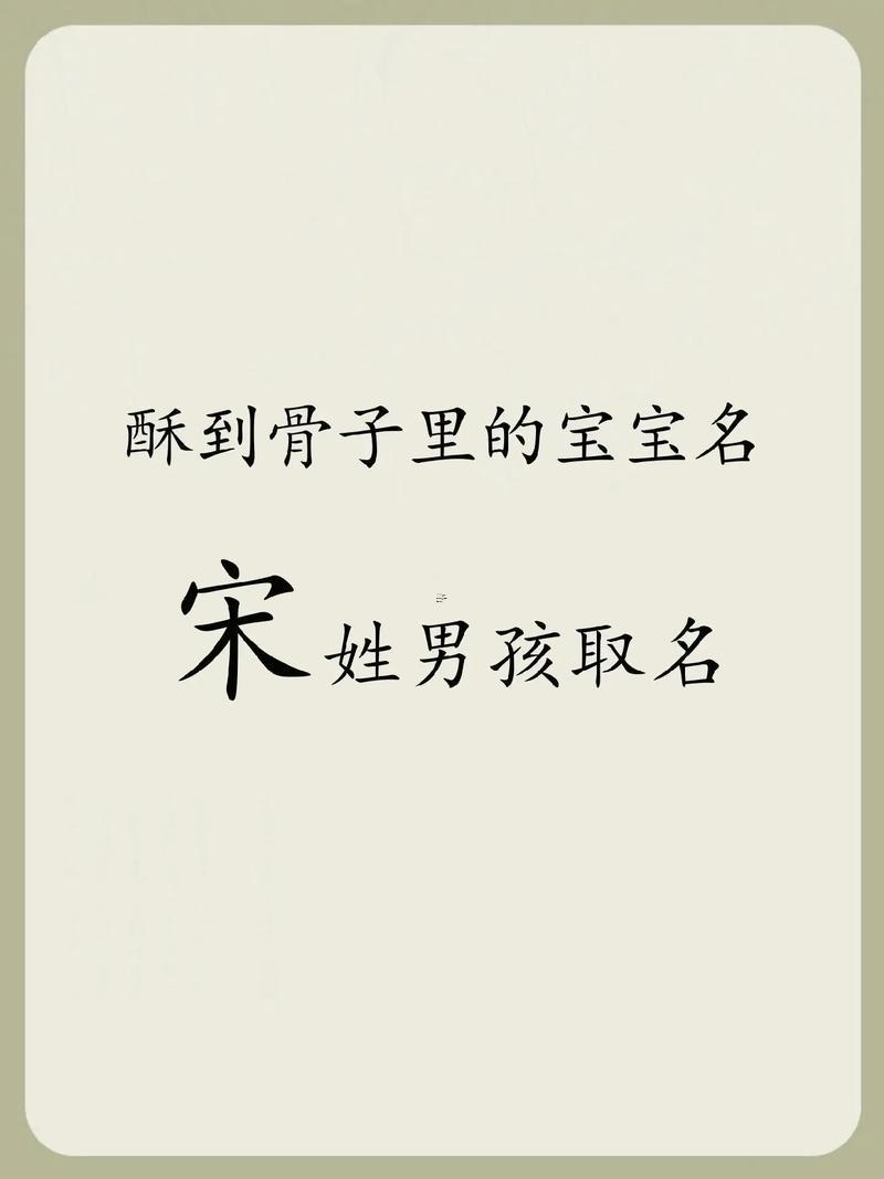 姓宋的男孩名字