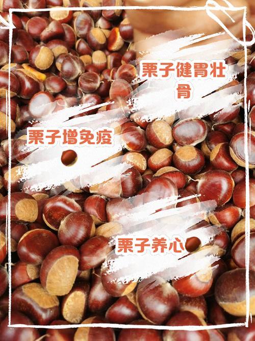 栗子的寓意