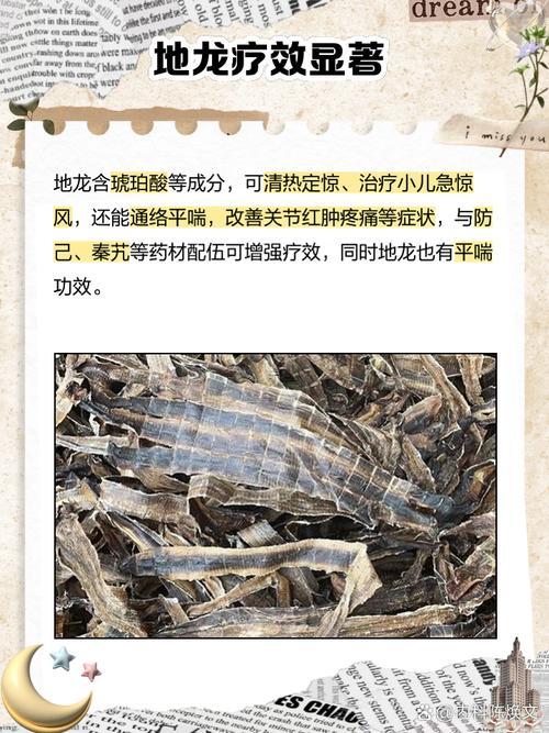 夢(mèng)見(jiàn)蚯蚓