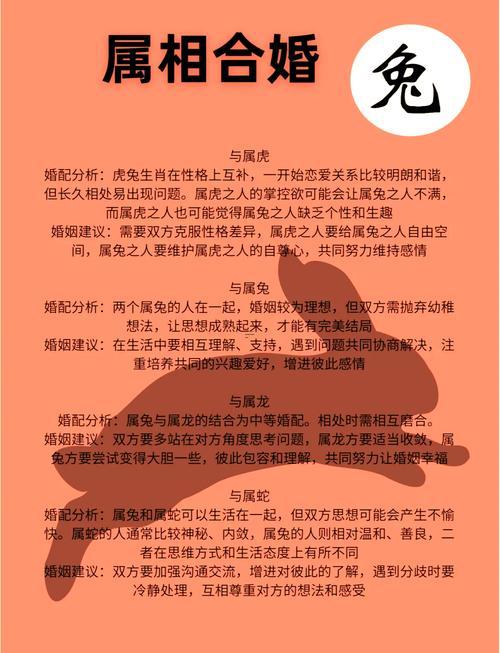 屬兔跟屬猴的合不合