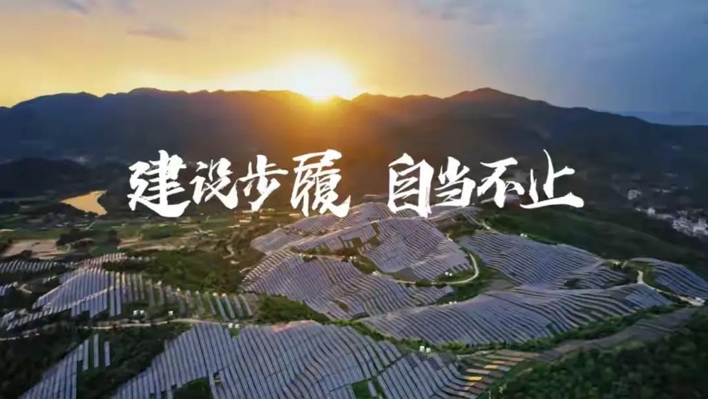 龍年是何事年
