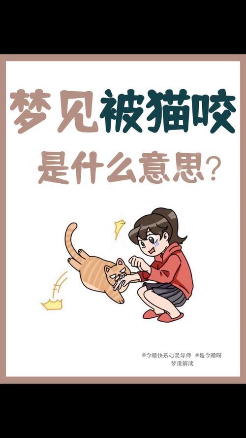 夢到黑貓