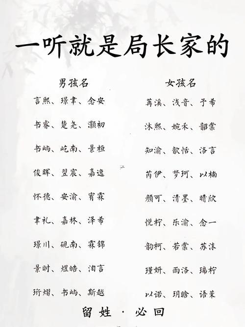 龍寶寶取名