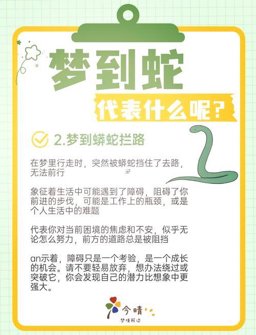 夢(mèng)見(jiàn)很多條蛇