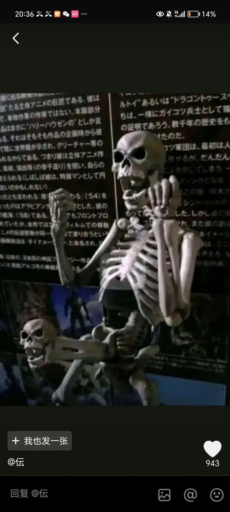 骸什么東西意思