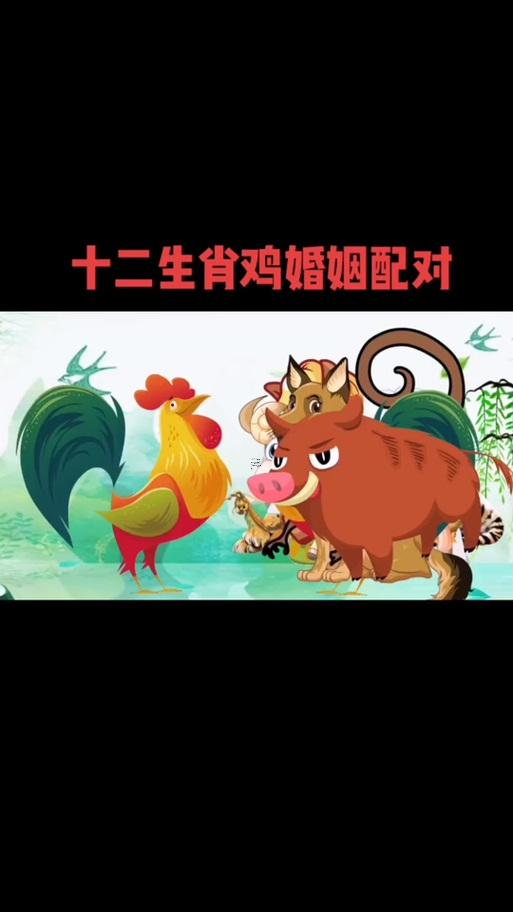 男屬雞的還有啥屬相最配