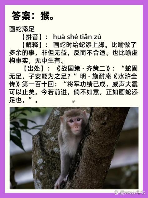 猴跟著狗屬相合不合