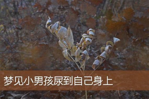 夢見自己尿褲子