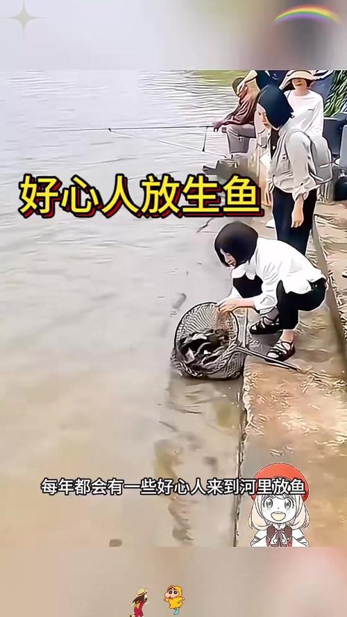 夢見好多小魚