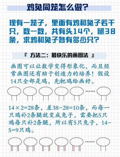 兔跟雞是相沖還是相克