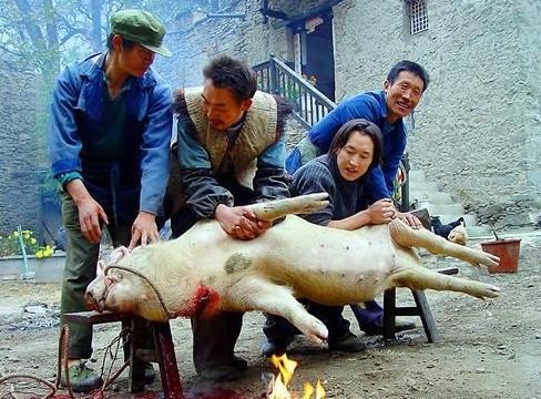 做夢(mèng)夢(mèng)見(jiàn)殺豬