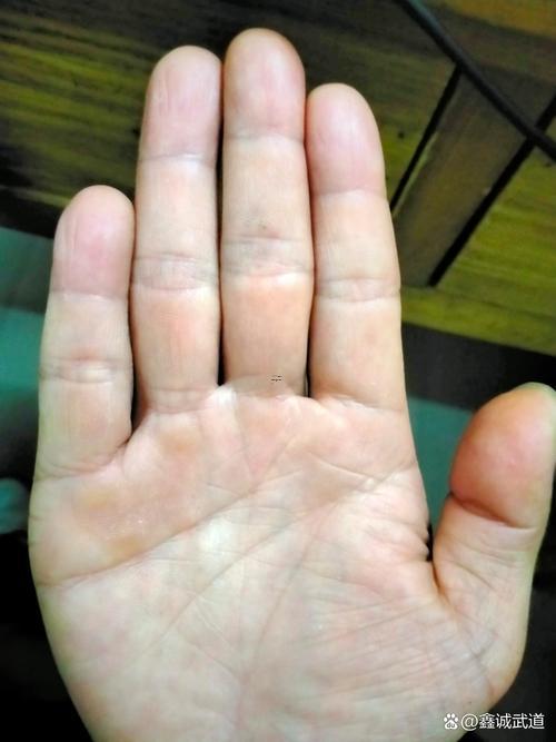 無(wú)名指長(zhǎng)