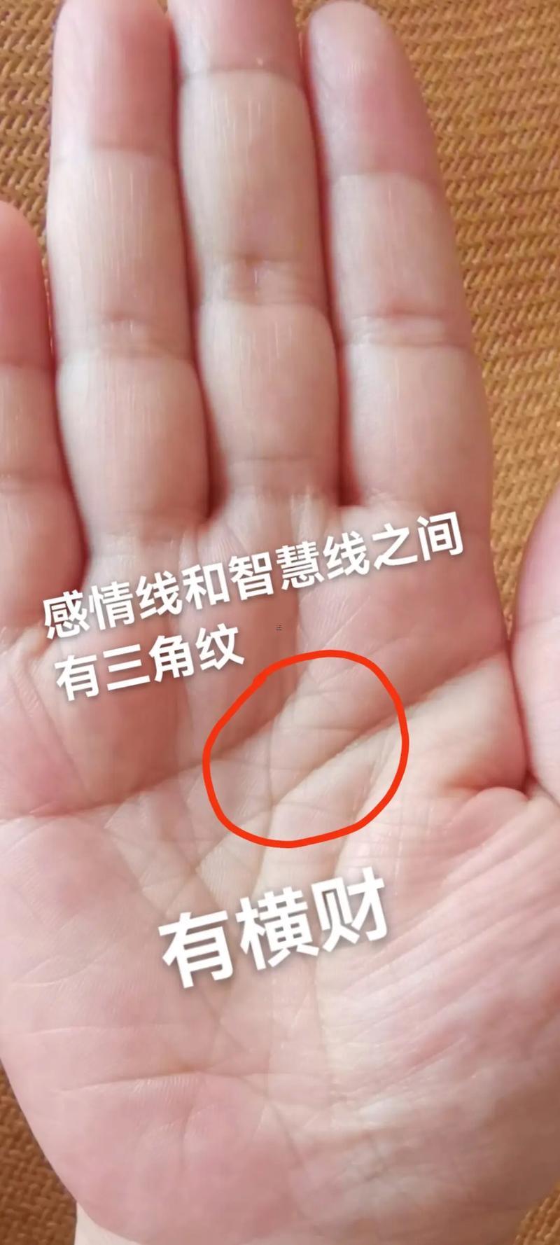 手掌感情線