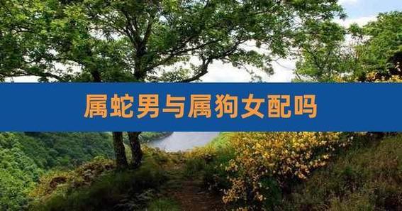 蛇跟狗合不合