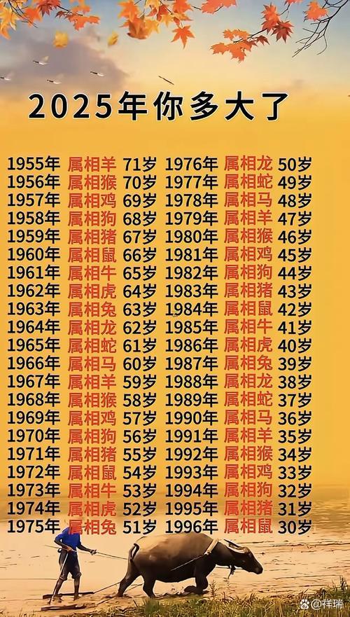 1991年是什么年