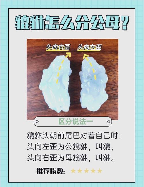 貔貅怎么帶