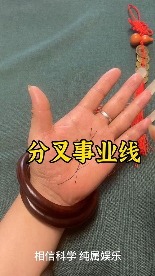 事業(yè)線分叉