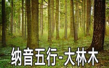 88年是什么東西年