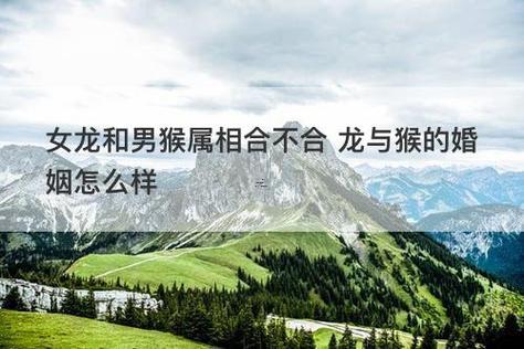 男龍女猴婚姻相配好嗎