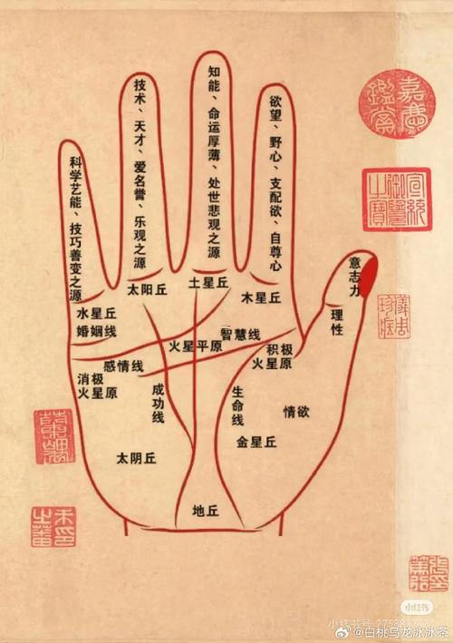看手相算命圖解