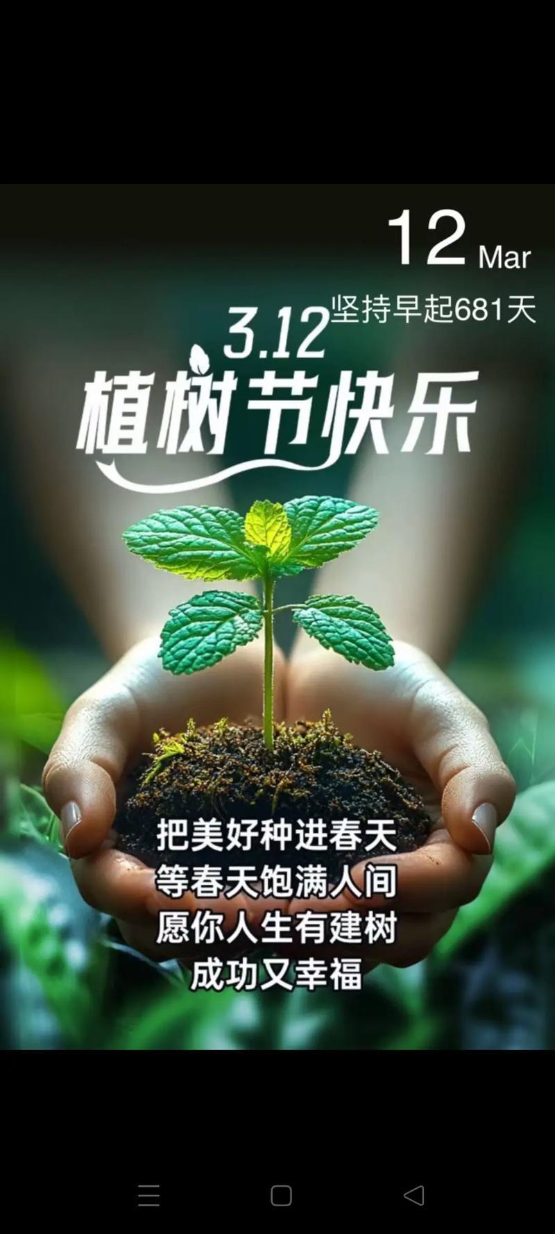 2025年8月砍樹吉日隆重了解