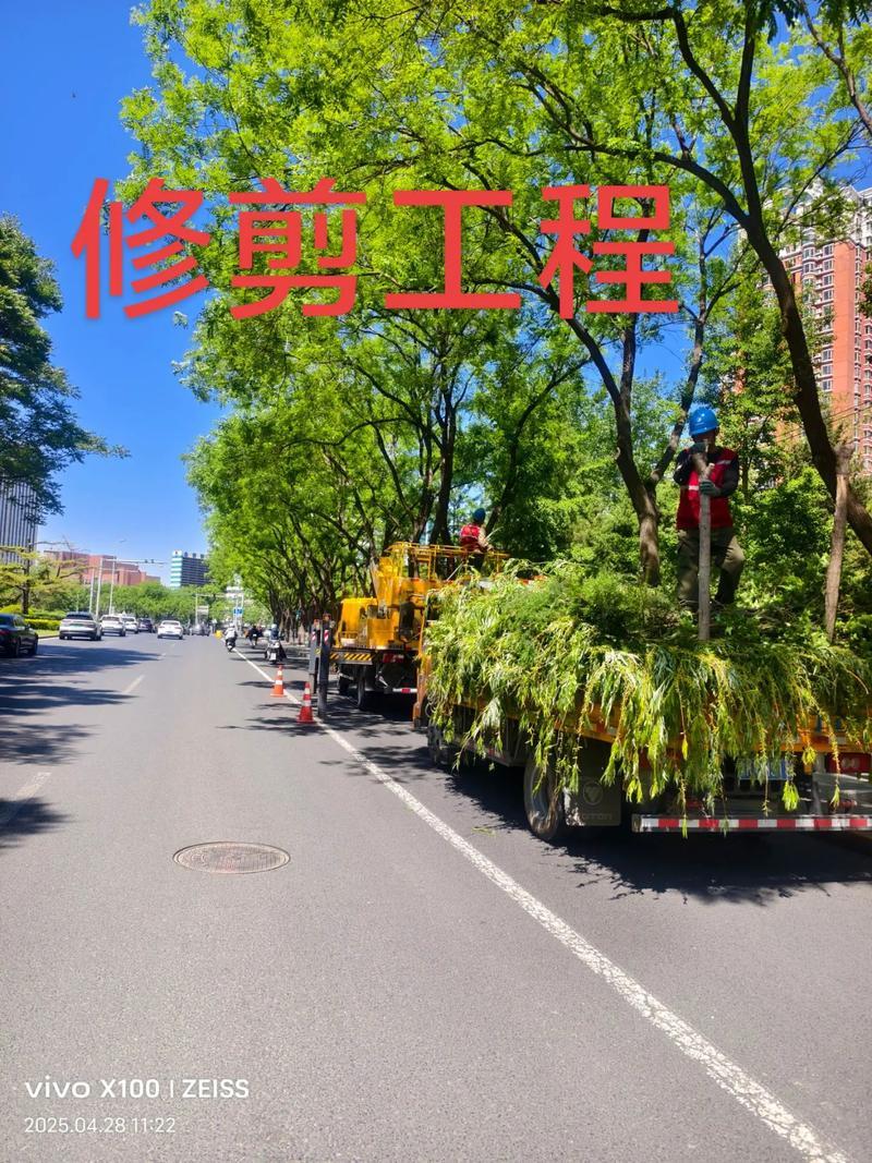 2026年4月伐樹吉日