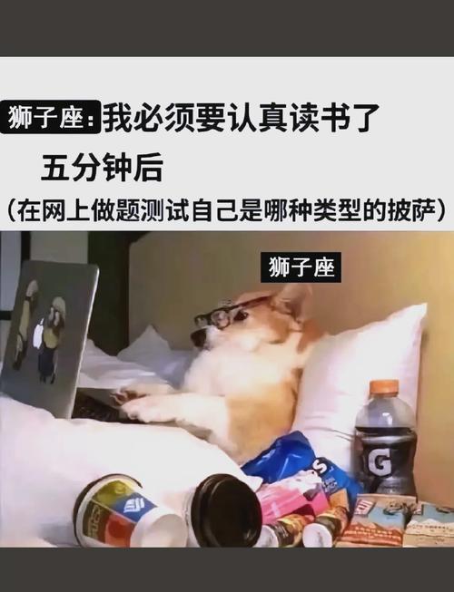 獅子座聰明到什么程度