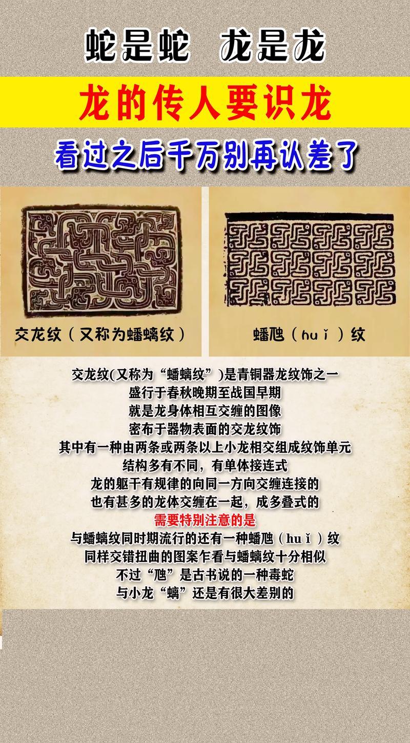 蛇是小龍嗎