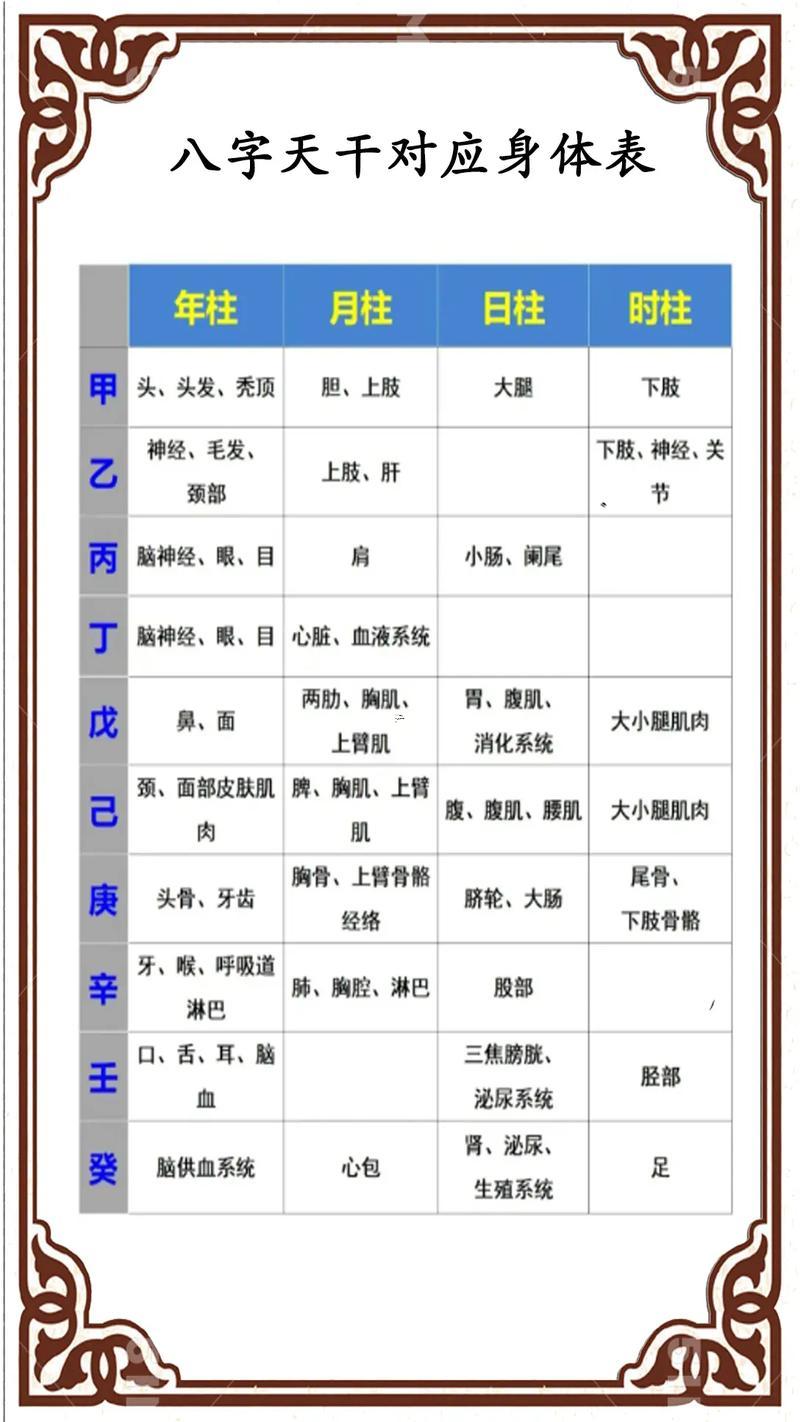 天干的支是啥