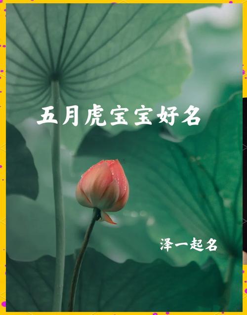 虎寶寶5月吉日有哪些屬相