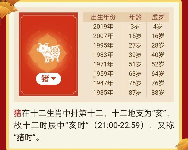 86年虎是什么東西命
