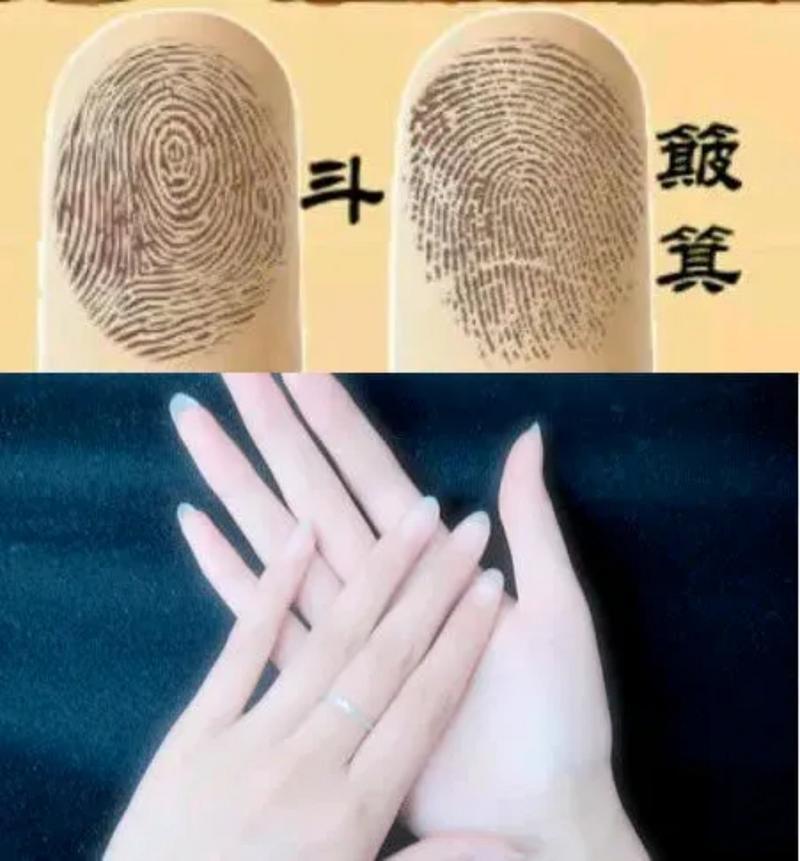 指紋簸箕與斗手相