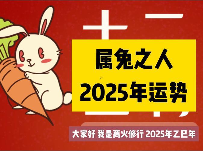 屬兔人一生大運(yùn)年