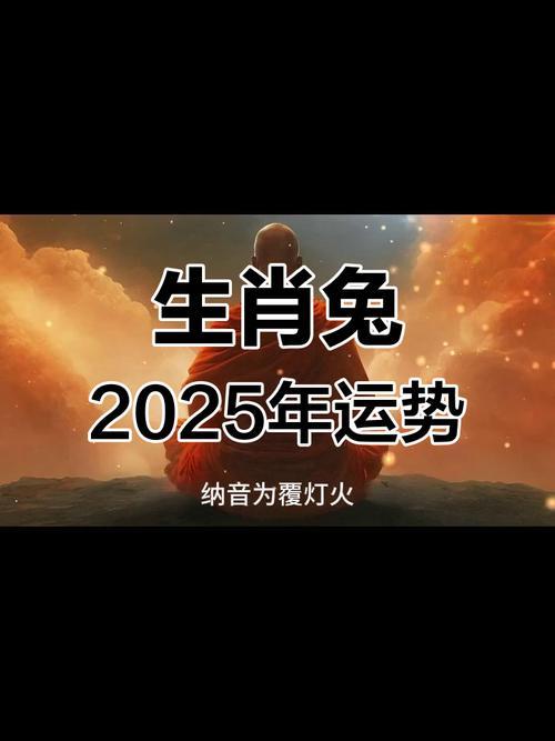 2025屬兔什么命