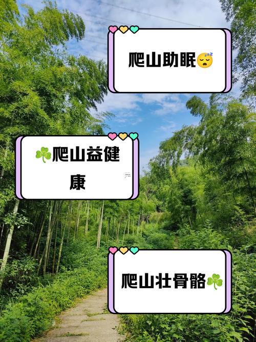 2025年八月十八適合爬山嗎